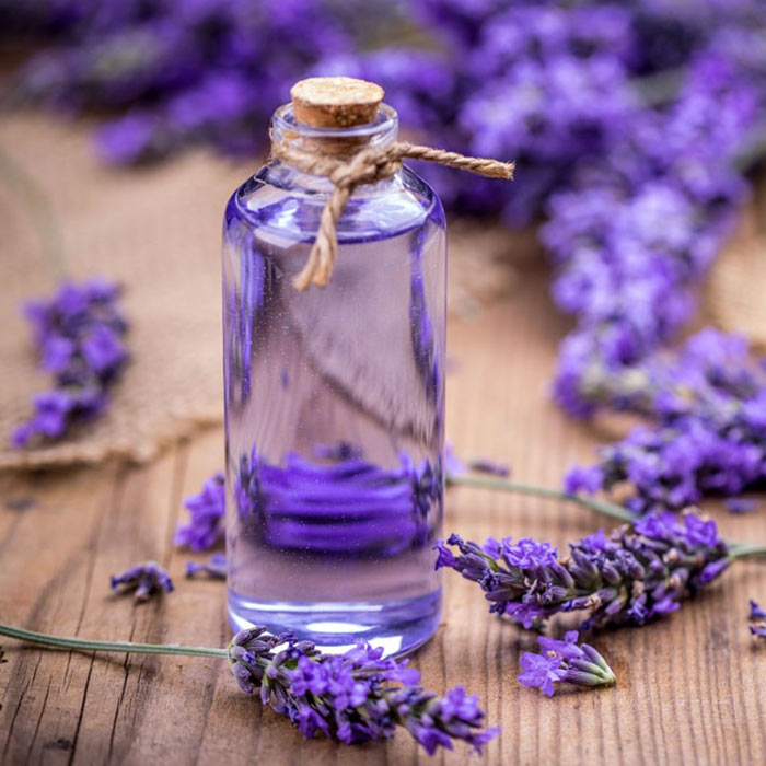Mengenai Lavender Oil