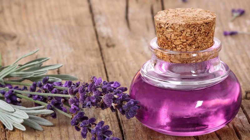 Mengenai Lavender Oil